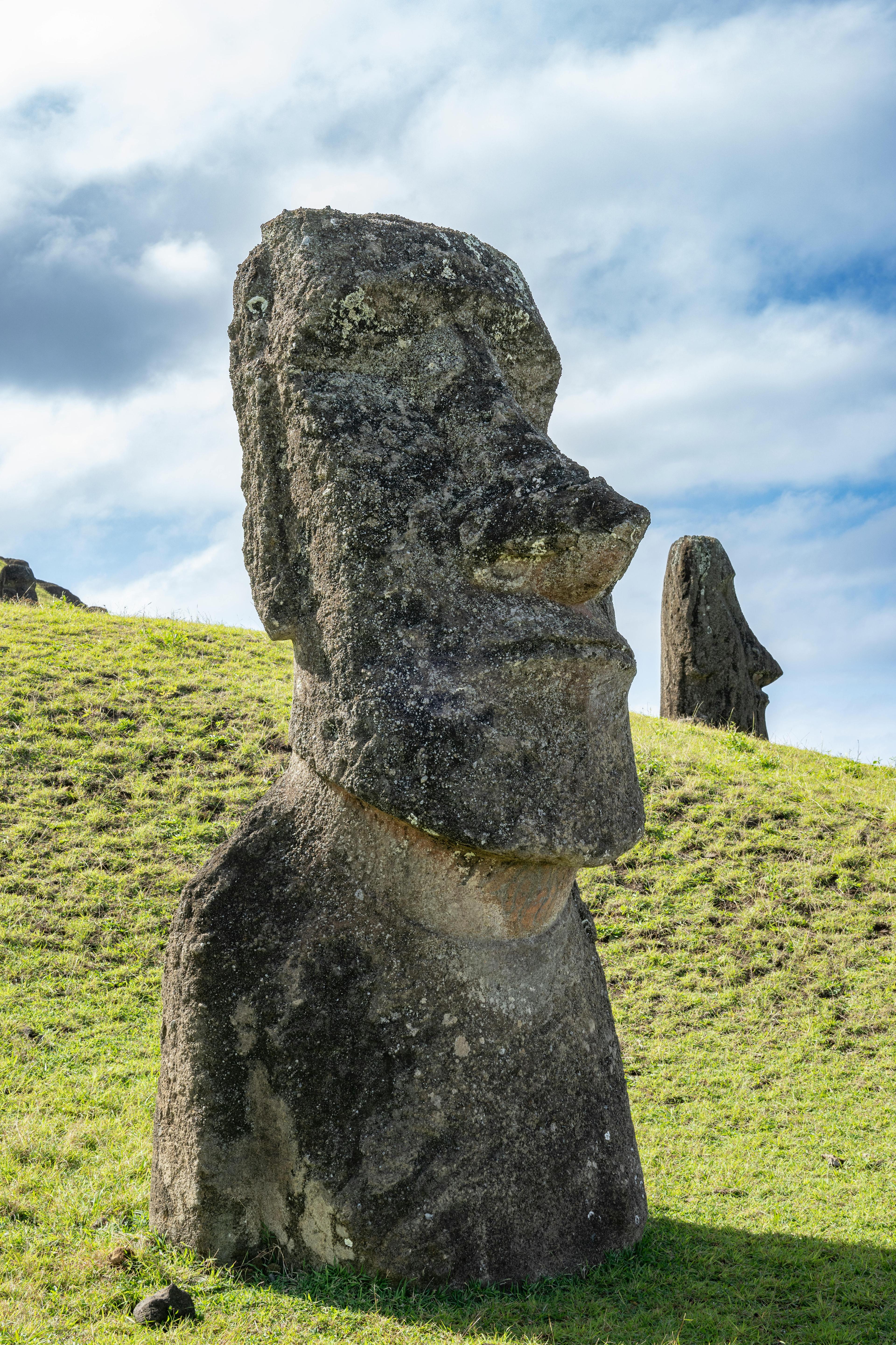 Pico