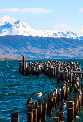 Natales