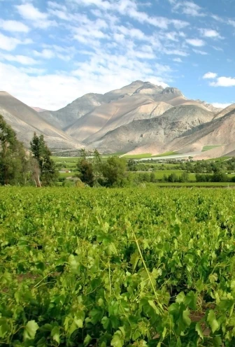 Elqui Valley