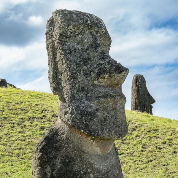 Pico